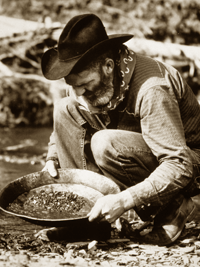 Old Timer Panning for Gold